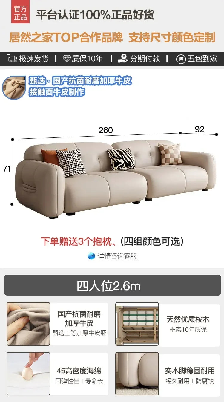 Modern Lounge Room Decor Designer Loveseay and Balcony sofas
